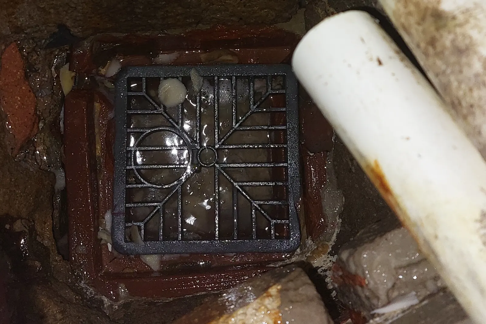 Commercial Pest Control in Cardiff 1 A floor gully under a commercial sink with a gnawed, loose grate