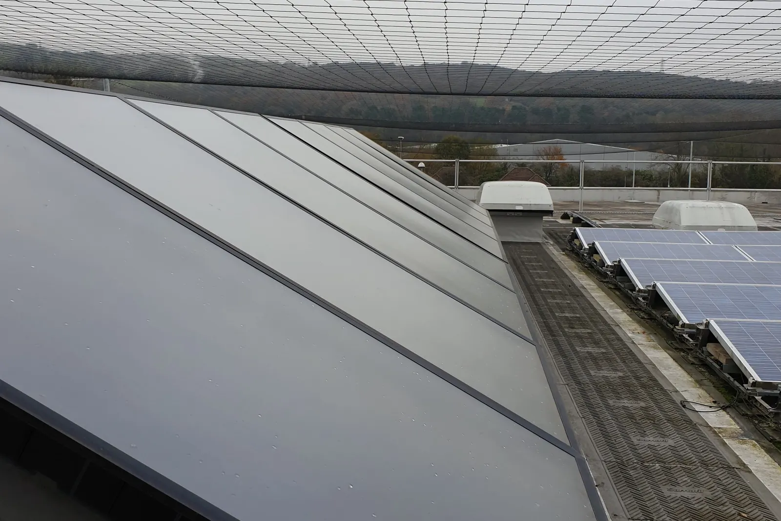 Seagull Control in Cardiff 1 Bird netting stretched across a flat roof, over a bank of solar panels